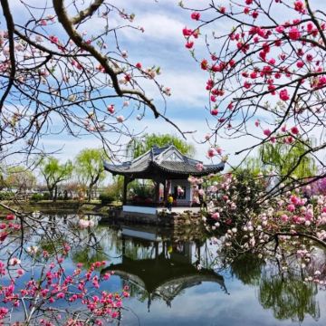 无锡市太湖鼋头渚风景区+灵山大佛+灵山胜境+禅意小镇·拈花湾+惠山古镇景区3日2晚私家团