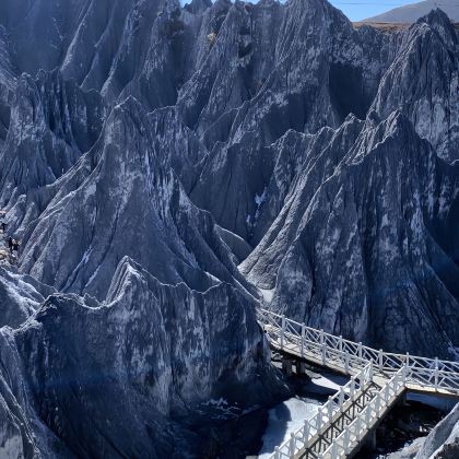 成都+四姑娘山景区+新都桥+墨石公园景区+鱼子西5日4晚私家团