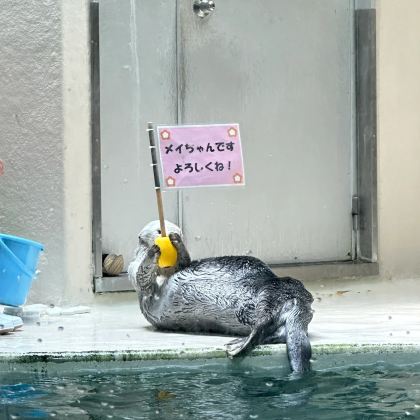 日本名古屋+伊势市+白川乡5日4晚私家团