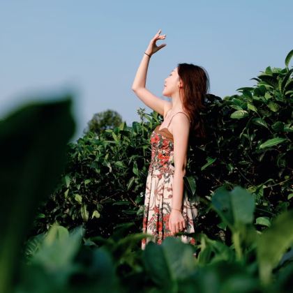 云浮+新兴+象窝山生态园2日1晚跟团游