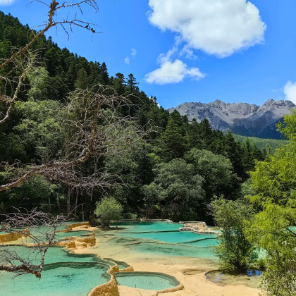 成都+九寨沟+黄龙风景名胜区4日3晚私家团