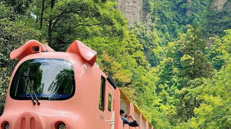8D7N · Private Tours · Changsha + Tianmen Mountain National Forest Park + Zhangjiajie National Forest Park + Furong Town + Fenghuang Ancient Town