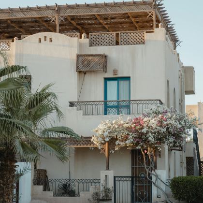 埃及开罗11日10晚私家团