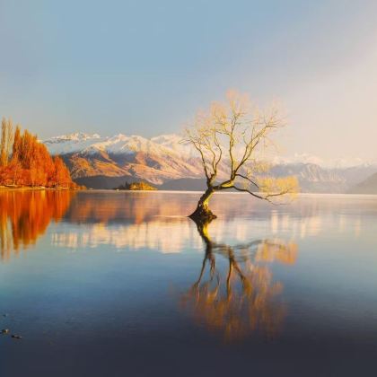 新西兰南岛+皇后镇+特卡波湖+瓦纳卡7日5晚私家团