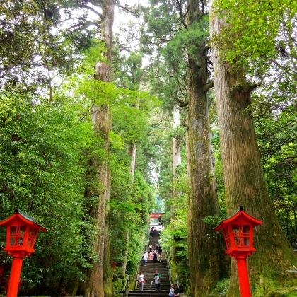 日本东京+箱根+芦之湖+大涌谷+仙石原6日5晚拼小团