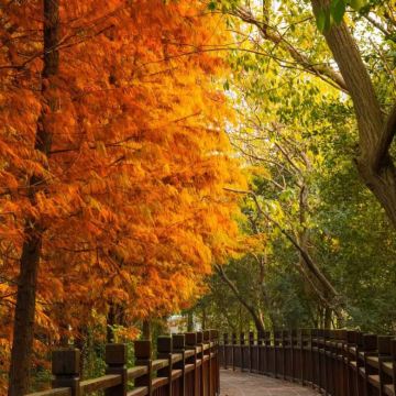 扬州+镇江+泰州6日5晚私家团