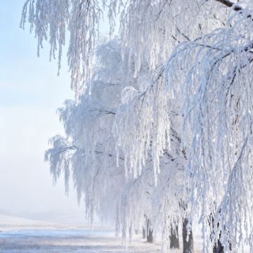 呼伦贝尔+阿尔山+满洲里+额尔古纳+根河+漠河+北极村10日9晚私家团