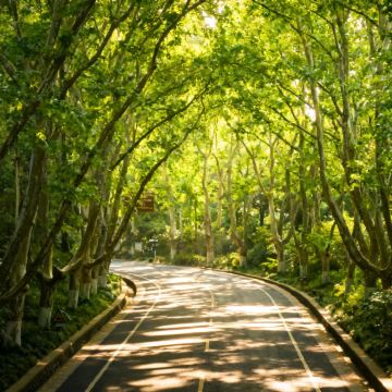 江苏南京3日2晚自由行