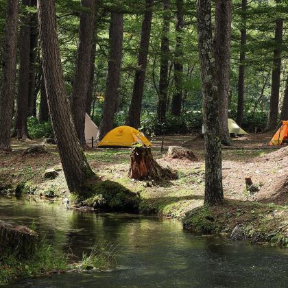日本名古屋+白川乡+上高地+立山黑部阿尔卑斯山脉6日5晚跟团游
