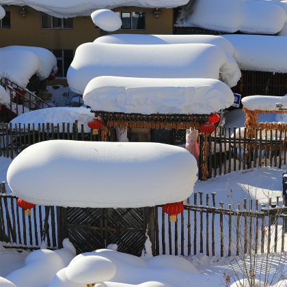 雪乡+漠河+北极村7日6晚拼小团