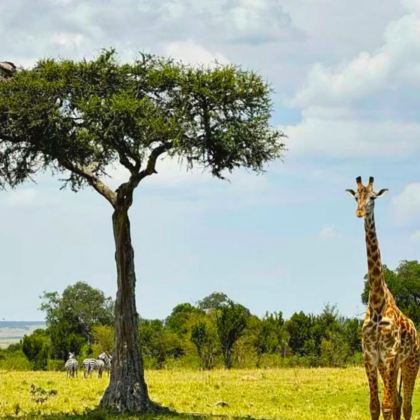 肯尼亚+乌干达+南非13日12晚私家团