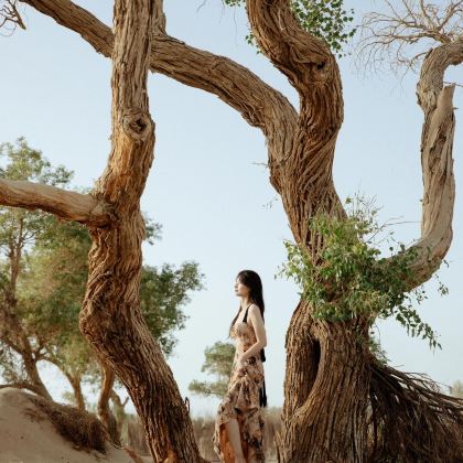 新疆乌鲁木齐+南疆+塔什库尔干+喀什市+库车+帕米尔高原+库尔勒8日7晚拼小团