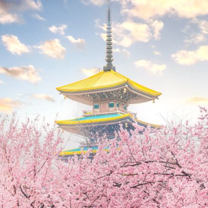 武汉+两坝一峡3日2晚拼小团