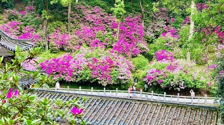 4D3N · Group Tours · China + Guilin + Yangshuo + Li River 3-star Cruise + Longji Rice Terraces