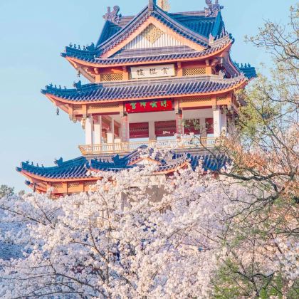 上海+南京+无锡+苏州+杭州+桐乡5日4晚跟团游