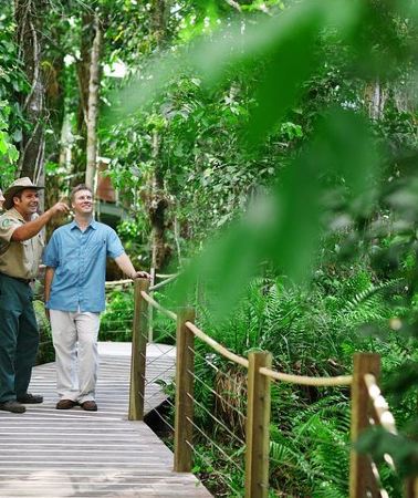 3D2N • Tambopata 3 Day Amazon Tour: Macaws, Caimans & Jungle