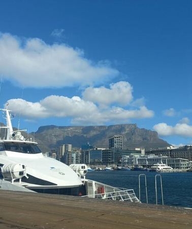 3D2N • 3-Day Guided Small Group Tour to Cape Town Top Attractions