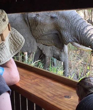 3D2N • 3-Day Tour of Kruger National Park from Skukuza Airport