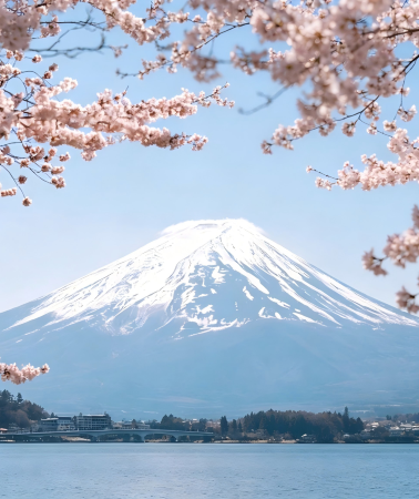 7D6N • Japan Cross-Country: Osaka, Kyoto, Iga, Mie, Mt. Fuji & Tokyo