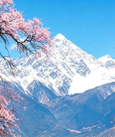 8日7晚 • 「雪域江南·蓮花秘境」拉薩＋林芝＋南迦巴瓦峯＋墨脫＋波密｜贈無人機航拍·含布宮＆大昭寺專屬導覽·供氧無憂