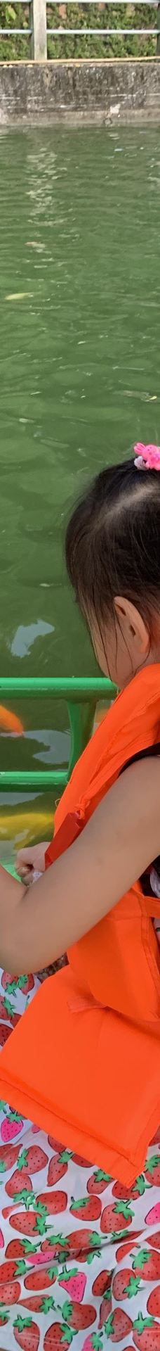 茂名森林公园-茂名