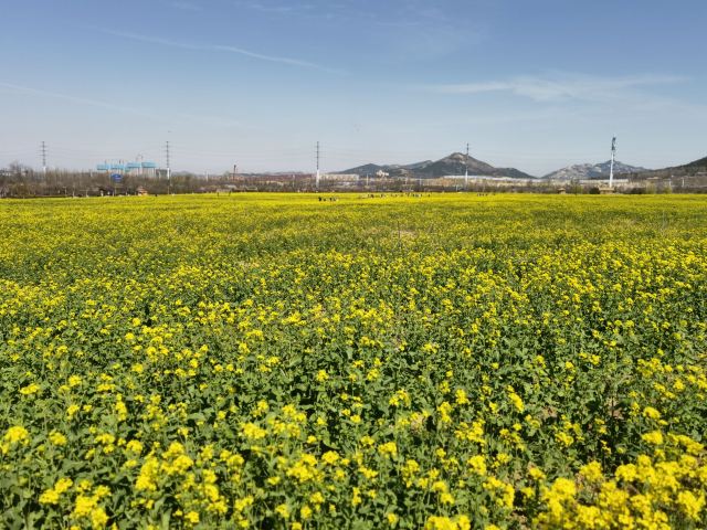 青岛西海岸生态观光园旅行图片 4