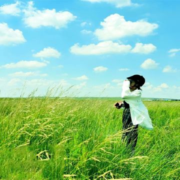 内蒙古呼和浩特+辉腾锡勒草原+乌兰哈达火山地质公园+响沙湾4日3晚私家团