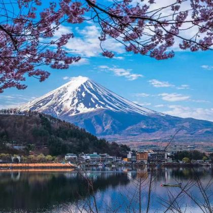 日本大阪+京都+奈良+东京+富士山7日6晚拼小团