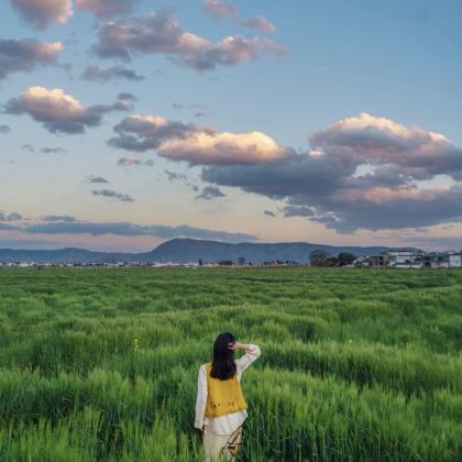 云南丽江+大理市5日4晚私家团
