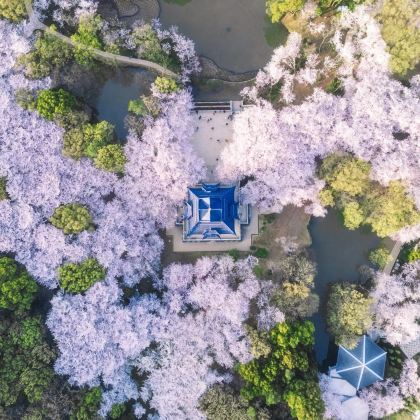 无锡+天目湖南山竹海景区+中华恐龙园5日4晚私家团