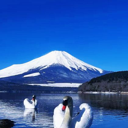 日本大阪+东京+日本环球影城+富士山6日5晚私家团