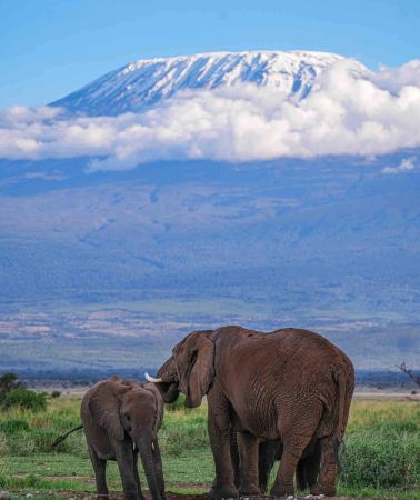 12D11N • Kenya + Nairobi + Maasai Mara National Reserve + Amboseli National Park + Serengeti National Park