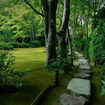 日本东京+大阪+京都+箱根+富士河口湖町7日6晚私家团