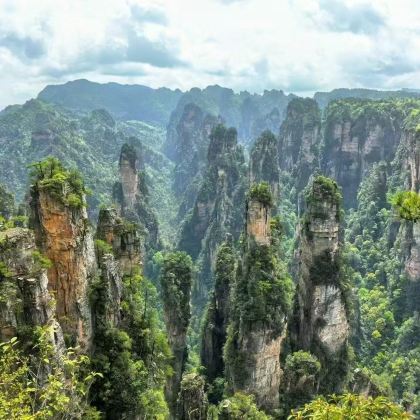 张家界+常德3日2晚私家团