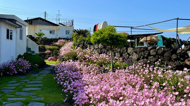 韓國濟(jì)州島+首爾5日4晚私家團(tuán)