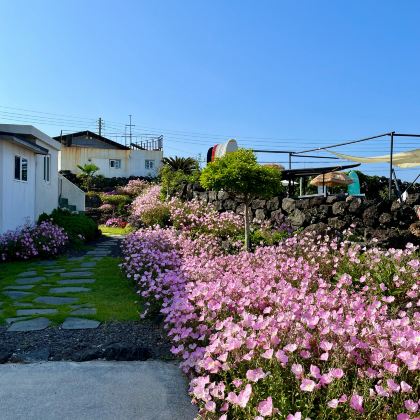 韩国济州岛+首尔5日4晚私家团