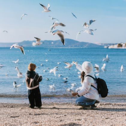 青岛3日2晚拼小团