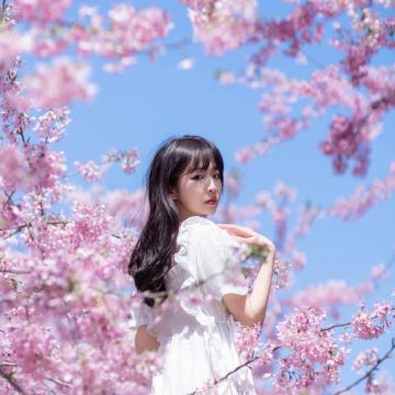 武汉+两坝一峡+三峡人家5日4晚私家团