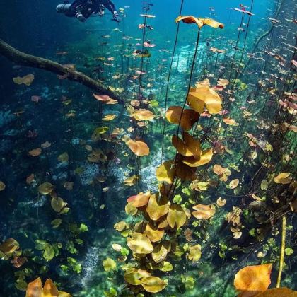 墨西哥8日6晚私家团