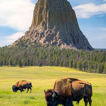 美国丹佛+盐湖城+黄石国家公园6日5晚跟团游