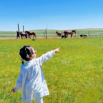 哈尔滨+齐齐哈尔+呼伦贝尔+满洲里+根河+漠河北极村+黑河+五大连池+伊春+抚远12日11晚跟团游