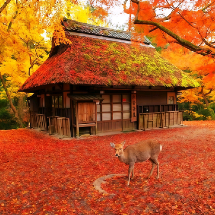东京+名古屋+京都+大阪+神户+奈良市12日11晚拼小团