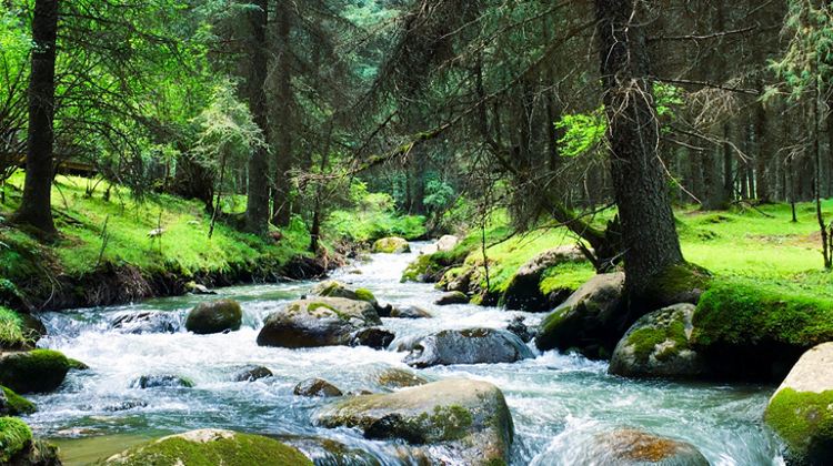 5-Day Northwest China Expedition Private Tour from Lanzhou· Linxia, Xiahe, Labrang Monastery, Xining, Kumbum Monastery