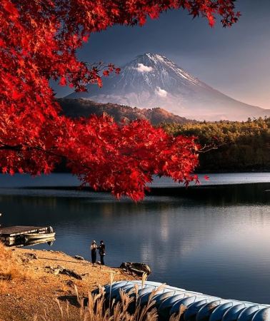 8日7晚 • 東京富士箱根鎌倉市全景遊｜富士山絕景 + 箱根溫泉古都 + 鎌倉市海岸 + 東京都會漫遊，包含5天午餐