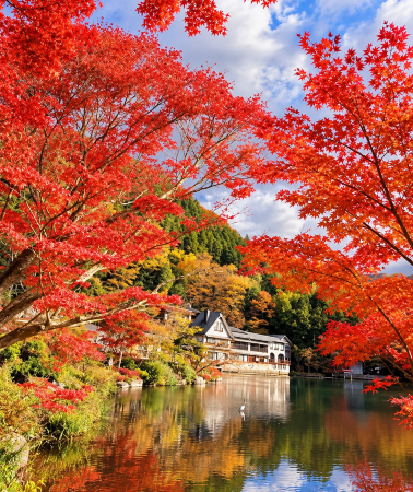 5D4N • Premium small-group fall foliage tour in Kyushu, Japan - Yabakei, Yufuin, Lake Kinrin and Beppu Onsen: river cruise in Yanagawa and free time in Fukuoka