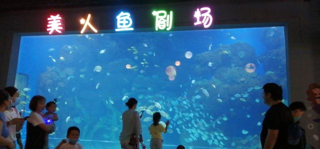 邯郸·海洋世界旅行图片 7