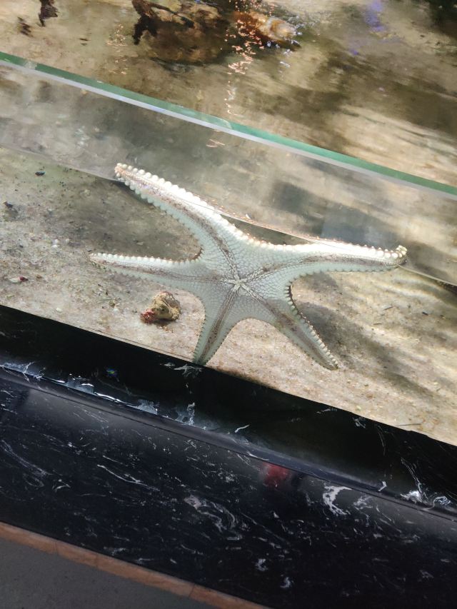 邯郸·海洋世界旅行图片 4