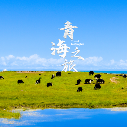 青海跟团游