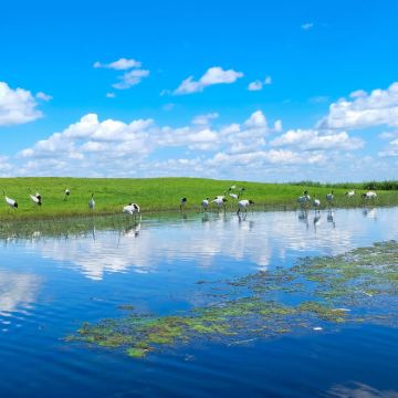 扎龙生态旅游区+龙沙公园+龙沙动植物园+水师森林温泉度假区3日2晚私家团