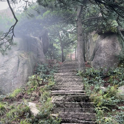 九华山大愿文化园-九华大佛+百岁宫+化城寺+肉身宝殿3日2晚私家团